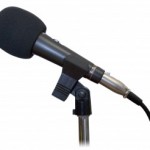 Microphone-Size-300x246